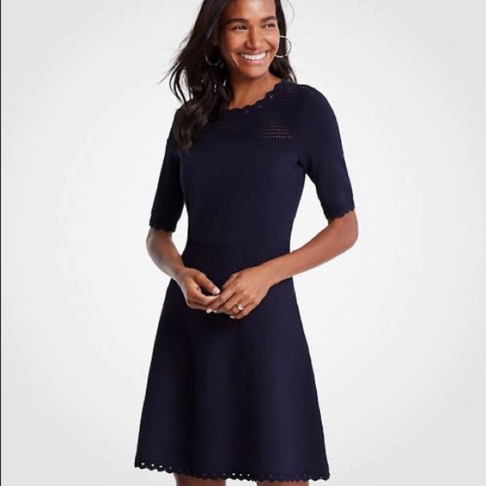 Ann Taylor sweater dress scallop pointelle size S